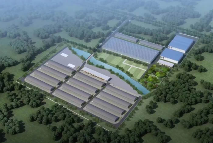 湖南富硒有机蔬菜(湖南富硒产品平台)-硒宝网