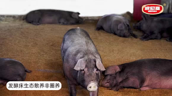 湖南富硒有机蔬菜(湖南富硒产品平台)-硒宝网