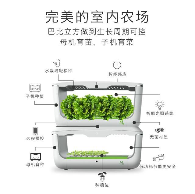 水培蔬菜富硒液肥(蔬菜水培富硒液肥料有哪些)-硒宝网