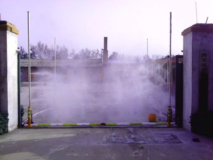 富硒蔬菜生产现状(中国富硒蔬菜杂交)-硒宝网