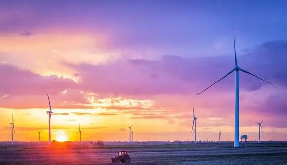 富硒蔬菜生产现状(中国富硒蔬菜杂交)-硒宝网