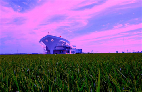 富硒蔬菜生产现状(中国富硒蔬菜杂交)-硒宝网