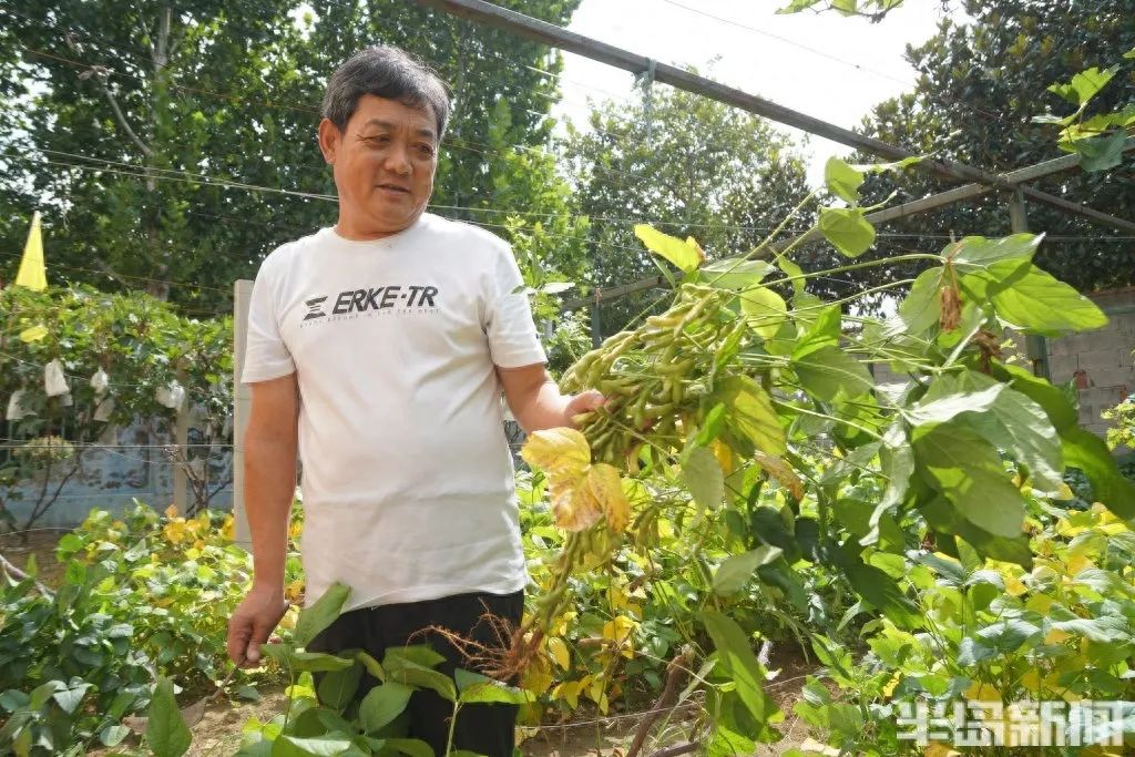 家庭种植富硒蔬菜(富硒蔬菜的种植方法)-硒宝网