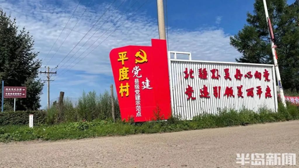 家庭种植富硒蔬菜(富硒蔬菜的种植方法)-硒宝网