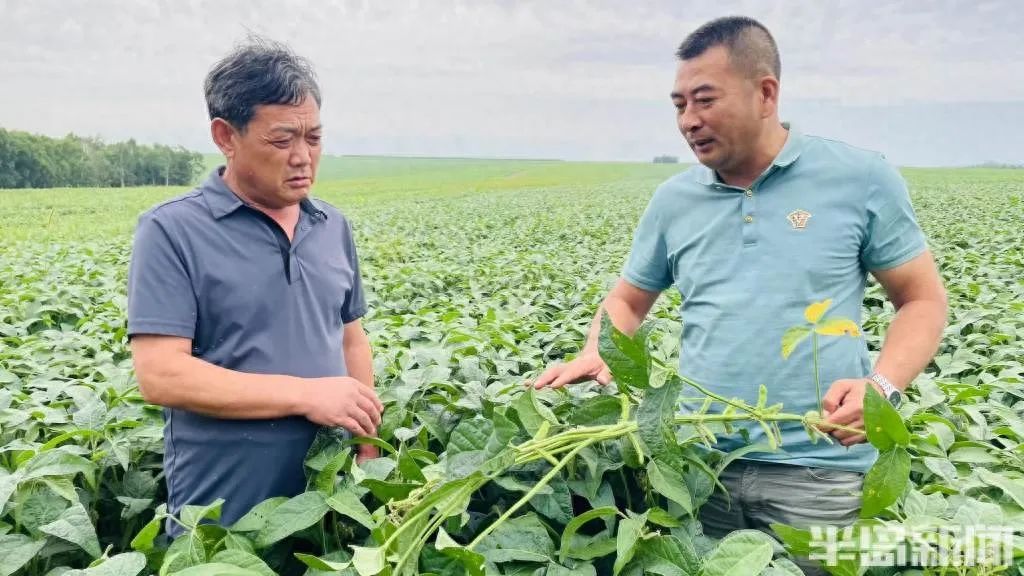 家庭种植富硒蔬菜(富硒蔬菜的种植方法)-硒宝网