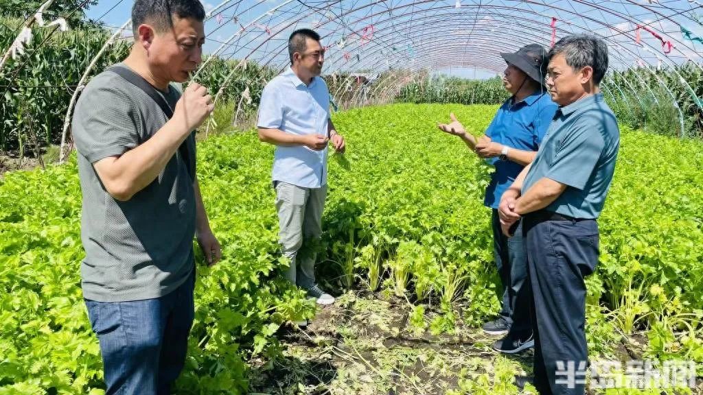 家庭种植富硒蔬菜(富硒蔬菜的种植方法)-硒宝网