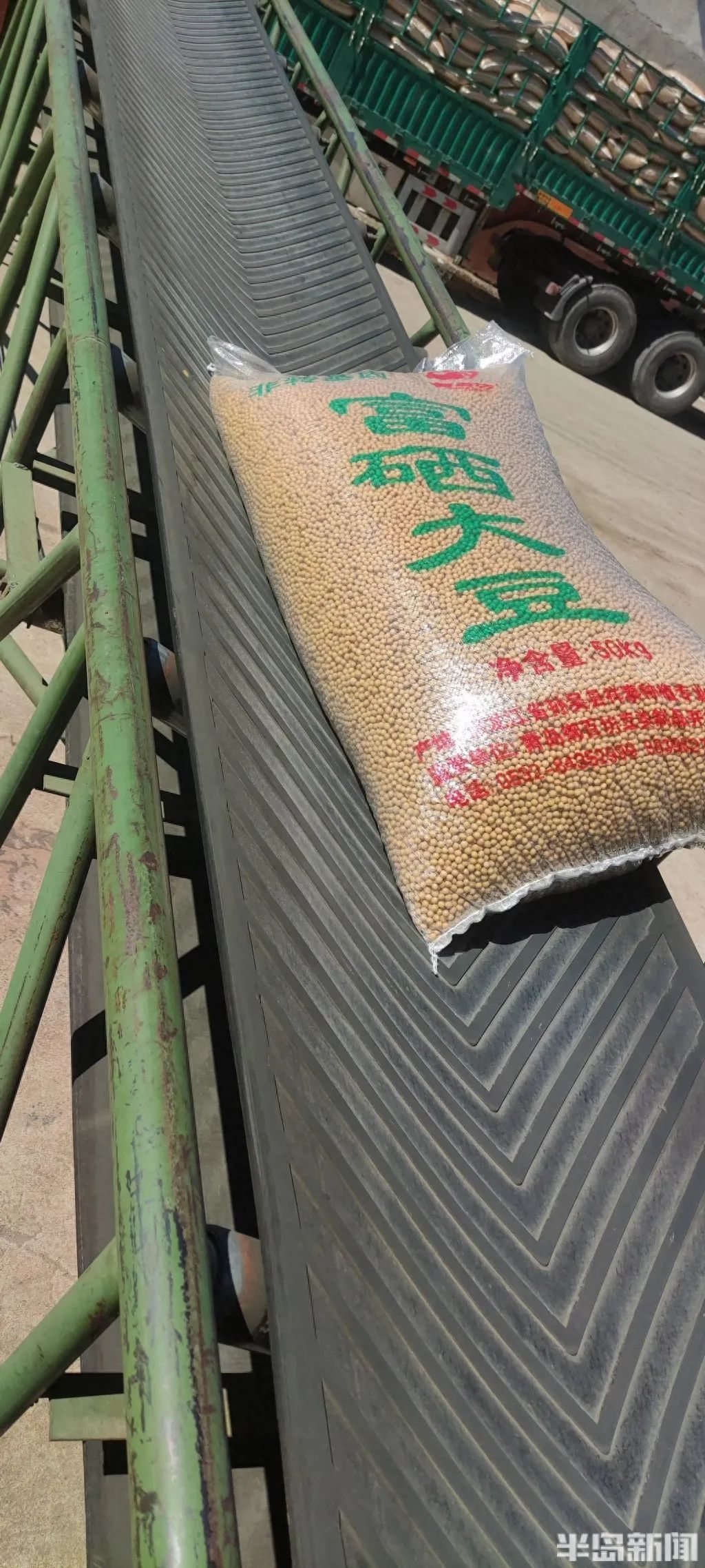 家庭种植富硒蔬菜(富硒蔬菜的种植方法)-硒宝网