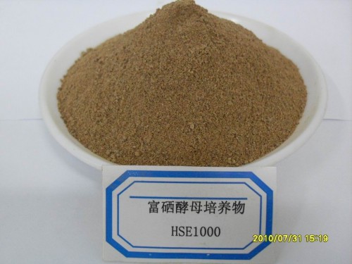 富硒蔬菜生产方案(富硒蔬菜的国家标准值)-硒宝网