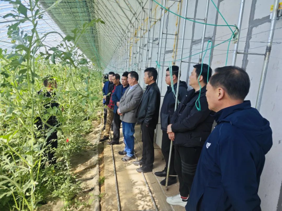 富硒蔬菜园 扶贫(富硒农场产品)-硒宝网