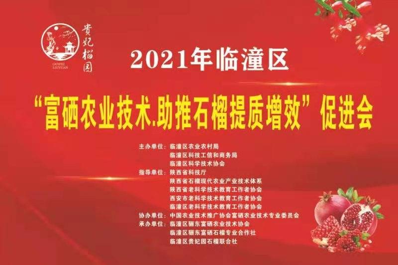 富硒蔬菜生产现状（蔬菜现状生产富硒产品）-硒宝网