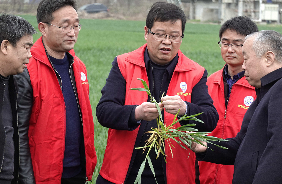 富硒蔬菜生产现状（蔬菜现状生产富硒产品）-硒宝网