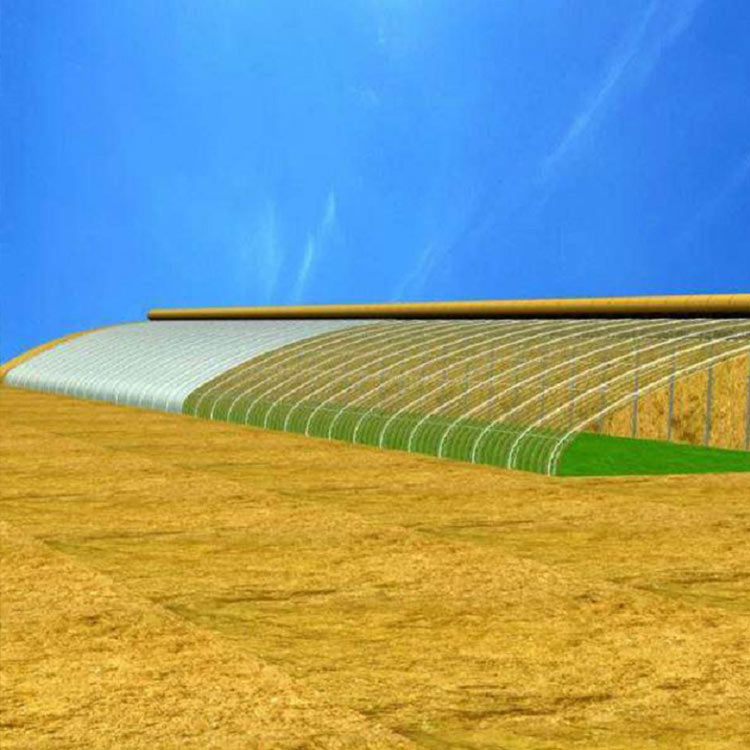 宁都富硒大棚蔬菜(宁都县大棚蔬菜基地)-硒宝网