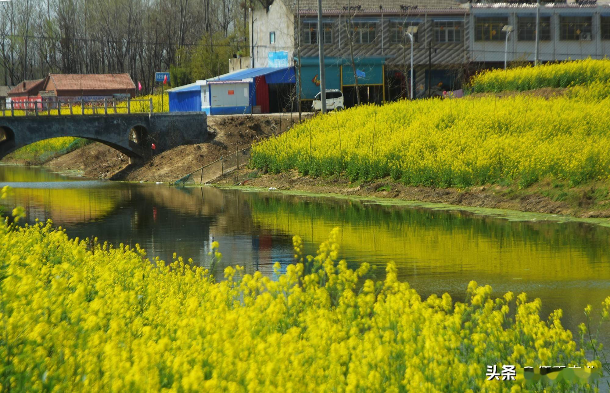 富硒蔬菜技术引领(蔬菜怎么富硒)-硒宝网