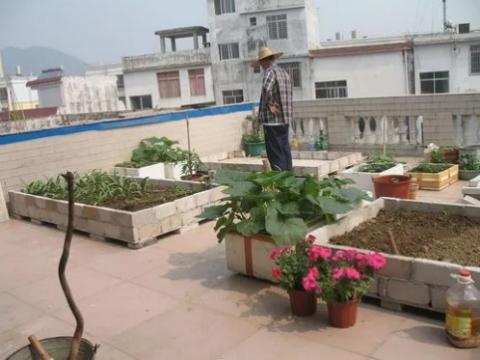 平安富硒水果蔬菜（富硒类蔬菜水果）-硒宝网