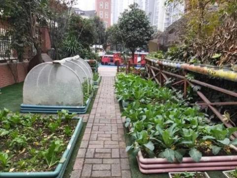 平安富硒水果蔬菜（富硒类蔬菜水果）-硒宝网