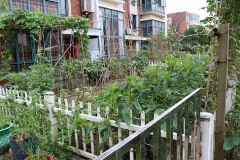 平安富硒水果蔬菜（富硒类蔬菜水果）-硒宝网