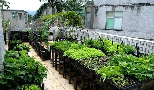 平安富硒水果蔬菜（富硒类蔬菜水果）-硒宝网