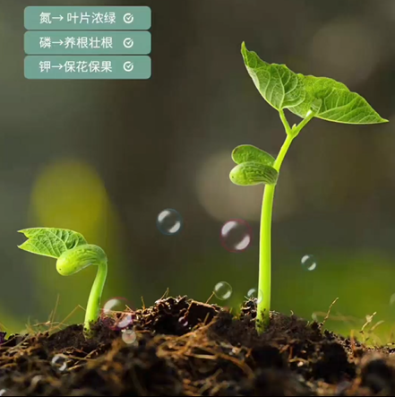 平安富硒水果蔬菜（富硒类蔬菜水果）-硒宝网