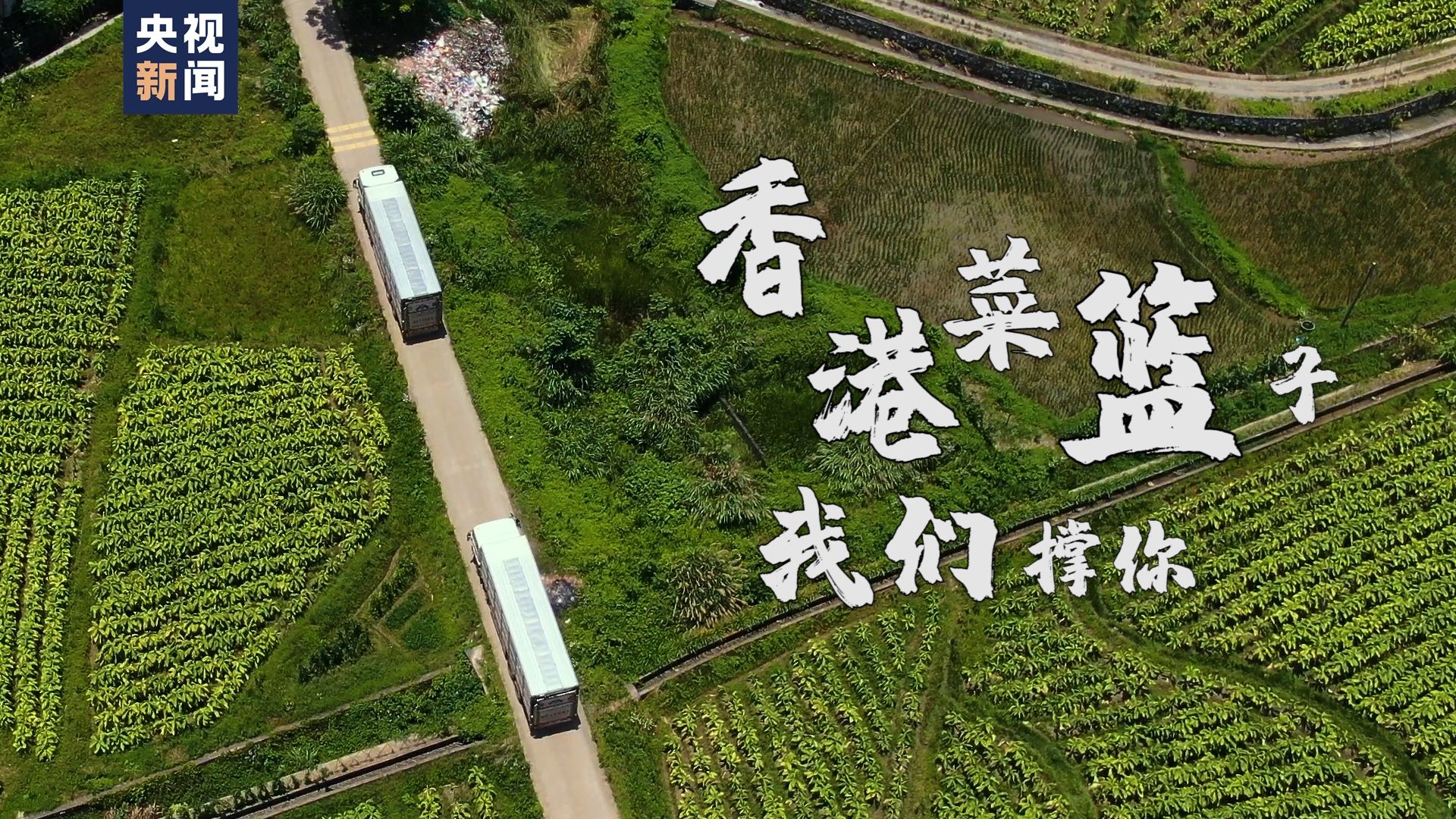 新田富硒有机蔬菜(富硒蔬菜产业园)-硒宝网