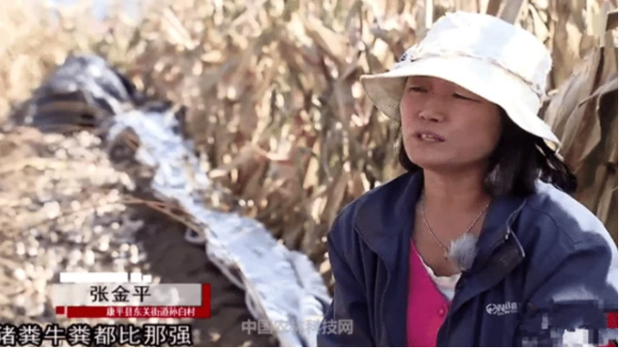 富硒蔬菜采摘方法（采摘蔬菜富硒方法是什么）-硒宝网