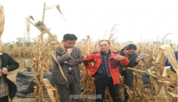 富硒蔬菜采摘方法（采摘蔬菜富硒方法是什么）-硒宝网