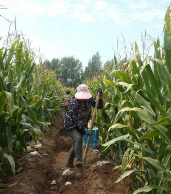 富硒蔬菜采摘方法（采摘蔬菜富硒方法是什么）-硒宝网