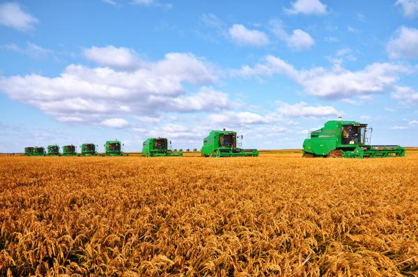 怎样生产硒蔬菜富(蔬菜硒)-硒宝网