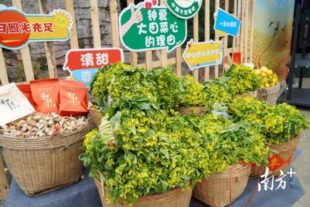 富硒蔬菜采摘方法(采摘蔬菜富硒方法有哪些)-硒宝网