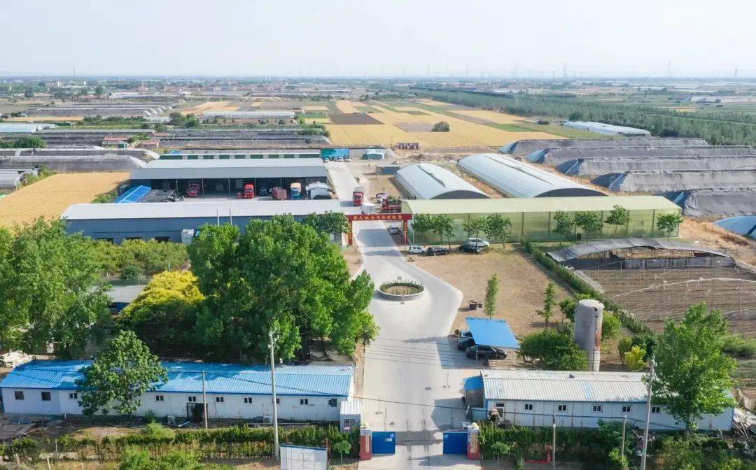 寿光富硒蔬菜采摘(寿光采摘园)-硒宝网