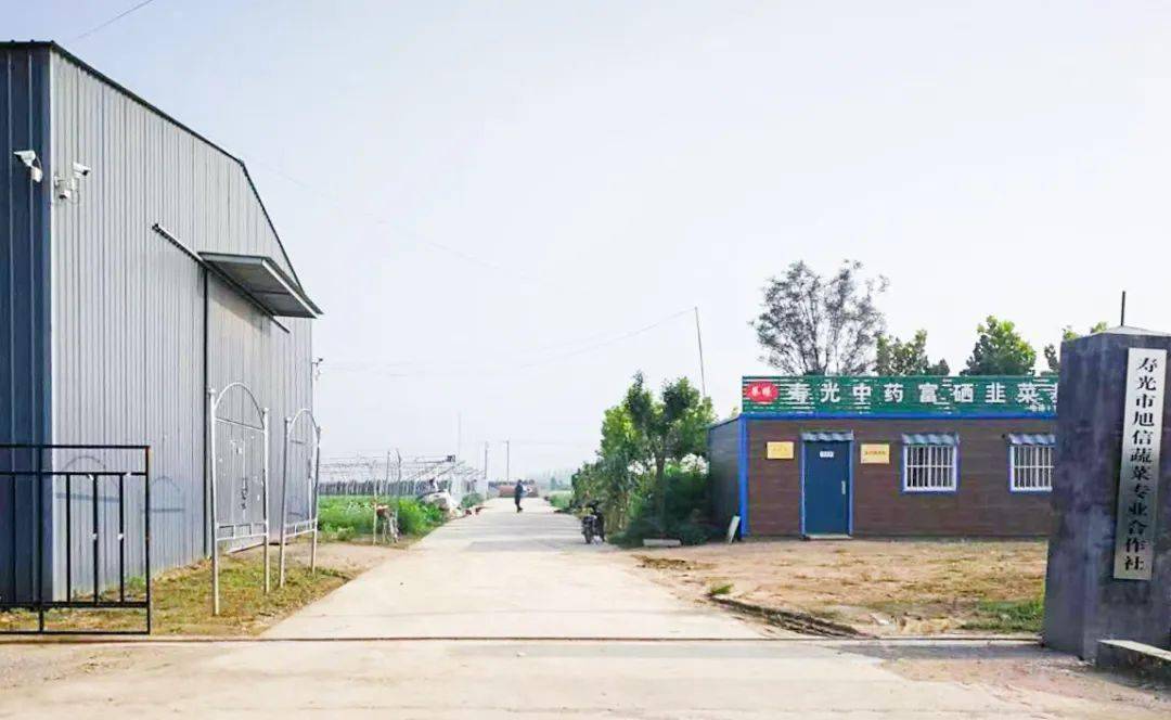 寿光富硒蔬菜采摘(寿光采摘园)-硒宝网