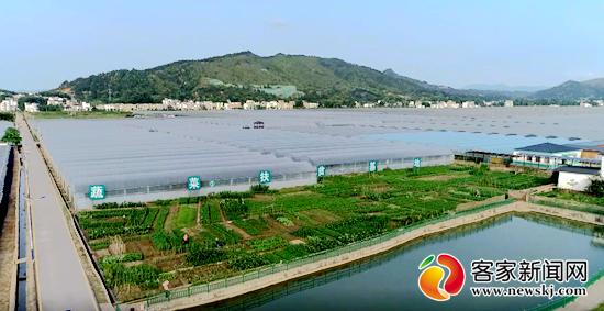 江西宁都富硒蔬菜(江西于都富硒蔬菜基地)-硒宝网