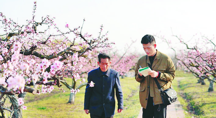 春日暖阳富硒蔬菜(富硒蔬菜的种植方法)-硒宝网