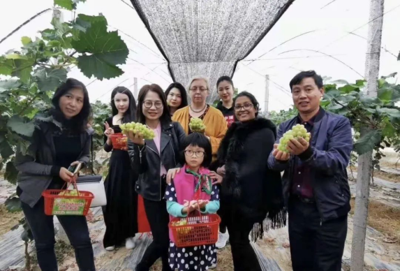 富硒蔬菜采摘时间(采摘蔬菜富硒时间多久)-硒宝网