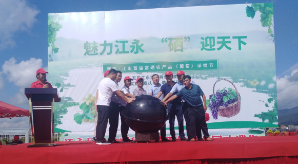 富硒蔬菜采摘时间(采摘蔬菜富硒时间多久)-硒宝网