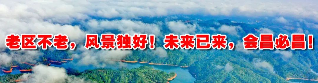 富硒蔬菜种植公司（蔬菜种植富硒公司有哪些）-硒宝网