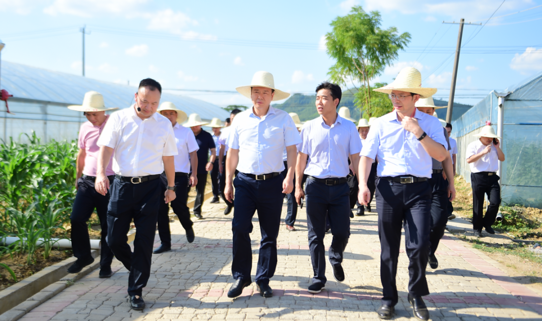 富硒蔬菜种植公司（蔬菜种植富硒公司有哪些）-硒宝网