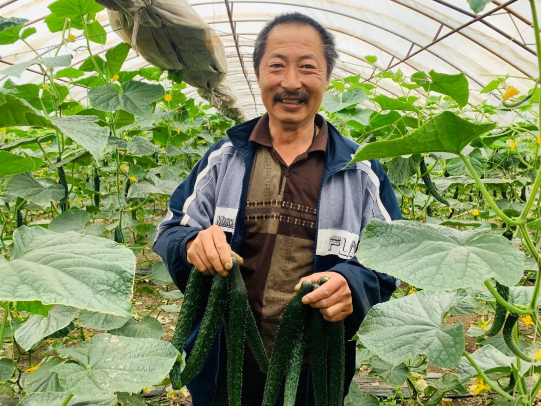 富硒蔬菜种植公司(蔬菜种植富硒公司怎么样)-硒宝网