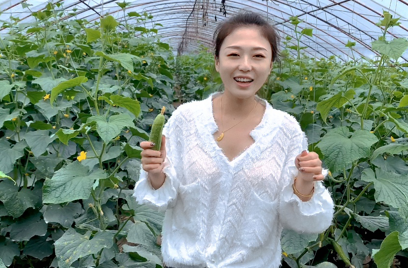 富硒蔬菜种植公司(蔬菜种植富硒公司怎么样)-硒宝网