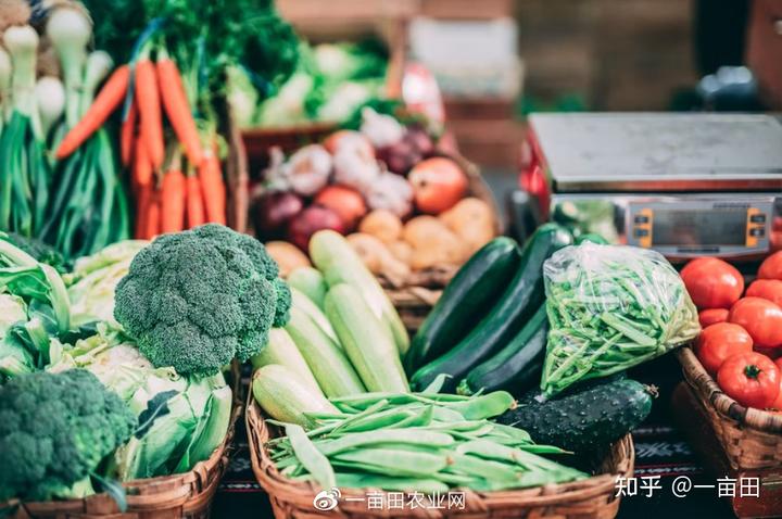 眉山富硒蔬菜基地(四川眉山蔬菜基地在哪里)-硒宝网