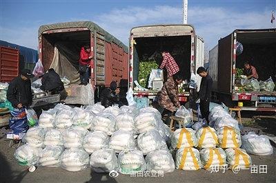 眉山富硒蔬菜基地(四川眉山蔬菜基地在哪里)-硒宝网