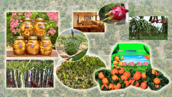 富硒蔬菜含量标准（富硒蔬菜含硒标准）-硒宝网