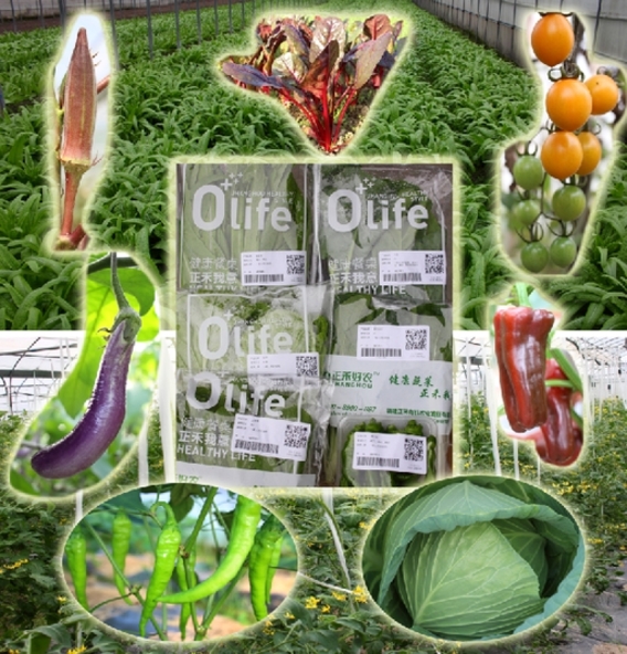 富硒蔬菜含量标准（富硒蔬菜含硒标准）-硒宝网