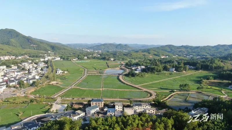 会昌富硒蔬菜基地(富硒农业基地)-硒宝网