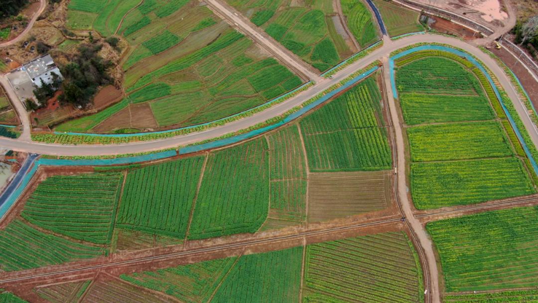 会昌富硒蔬菜基地(富硒农业基地)-硒宝网