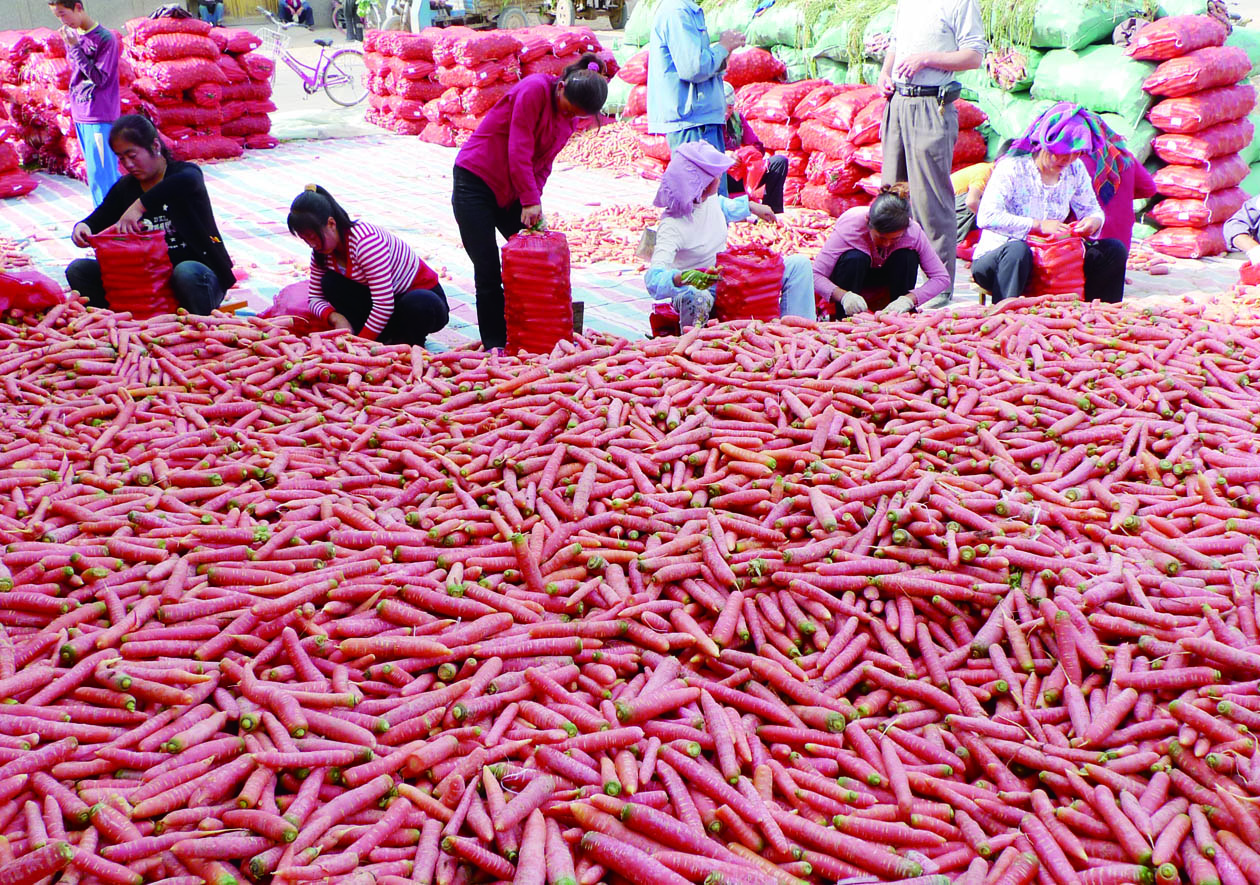 富硒蔬菜的标准值(富硒蔬菜的国家标准值)-硒宝网
