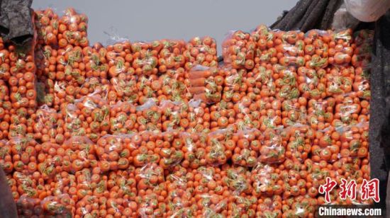 富硒蔬菜的标准值(富硒蔬菜的国家标准值)-硒宝网