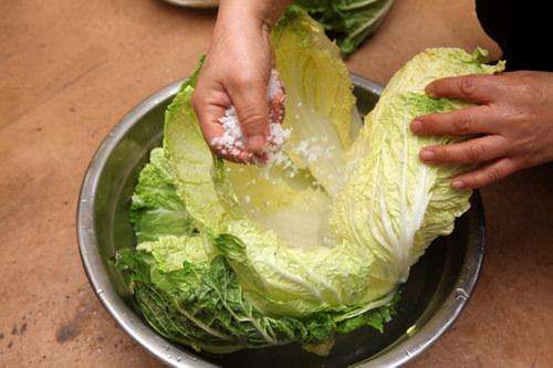 富硒水蔬菜有哪些(蔬菜富硒水有什么好处)-硒宝网