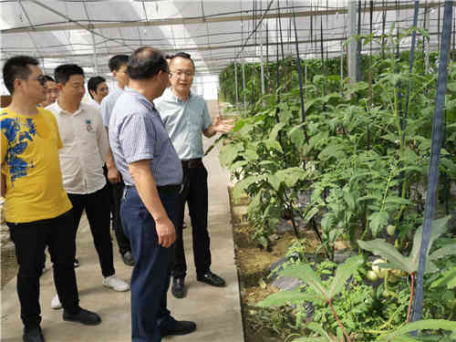 眉山富硒蔬菜基地（富硒蔬菜产业园）-硒宝网