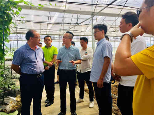 眉山富硒蔬菜基地（富硒蔬菜产业园）-硒宝网