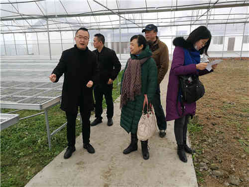 眉山富硒蔬菜基地（富硒蔬菜产业园）-硒宝网